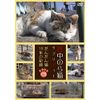 谷中のら猫ラプソディー〜だんだん猫10年の記録〜 [DVD]