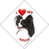 I (Heart) My Papillon Window Sticker