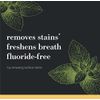 Burt’s Bees Toothpaste, Natural Flavor, Charcoal Fluoride-Free Toothpaste, Zen Peppermint, 4.7 oz, Pack of 3