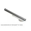 Strike Industries Glock 17 Gen 3 Slide Completion Kit