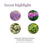 KidScents SleepyIze Essential Oils Blend by Young Living, 5 Milliliters, Topical and Aromatic