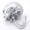 Cranstein Scientific Human Skull Life Size Skull Decoration (Light Silver)