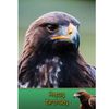Eagle Birthday Card