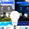 LED Bulb, Light and Dark Sensor Bulb, Night Light, Automatically Turns On When Dark, Automatically Turns Off When Brightness (No Human Body Detection Function), E26 Base (8.8W) 60W Equivalent