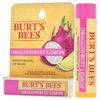 Burt's Bees Dragonfruit Moisturizing Lip Balms NEW