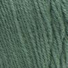 RED HEART Super Saver Yarn - Light Sage