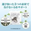 Yamada Bee Farm 1st (First) Protection <30 Packets >