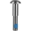 SRAM Flat Mount Disc Caliper Bracket Bolts 17mm Titanium