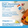 Doctor's Best High Absorption Magnesium 120 Count Vegan Magnesium Supplement