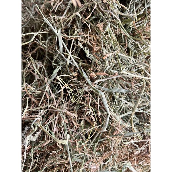 Meadow Hay 3kg Box sweet smelling, pet bedding, fodder/feed, garden mulch & more