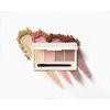 Fujiko Addition Palette, 02 Carved Deep Mauve, Net Content: 0.2 oz (5.5 g), Matte Sheer, No Disposal Colors