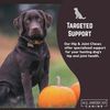 Hip & Joint Support Soft Chews For Dogs | Glucosamine & Chondroitin ( 60 Count )