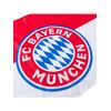 FC Bayern Fahne Logo 90x60 cm