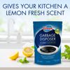 Glisten Garbage Disposer Foaming Cleaner, Lemon Scent, 2-Pack (8 Uses)