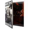 Check Your Head (2 LPs) [Vinyl]