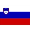 CafePress Slovenia Rectangle Sticker Rectangle Bumper Sticker Car Decal