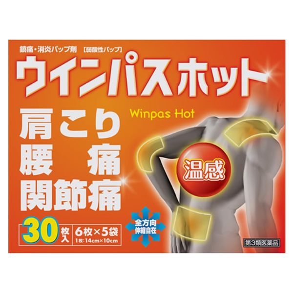【第3類医薬品】ウインパスホット PB 30枚 ×3