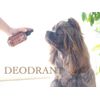 Triple A deodorant (deodorizer)