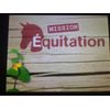 Real Adventures: Wild Horses (Nintendo DS)