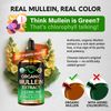 USDA Organic Mullein Supplement - Made in USA - Mullein Leaf Extract Drops - Bro