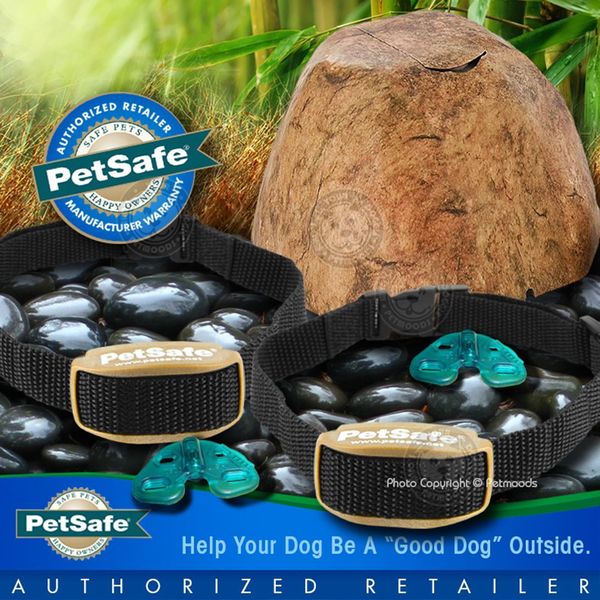 PetSafe Pawz Away Wireless Rock Pet Barrier 2 Dog Collar System PWF00-11923