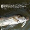 DAIWA Mozzan Garba 73S-LI LI Happy Lemon Plug