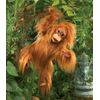 Folkmanis Baby Orangutan Hand Puppet, Orange-Brown