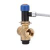 STS 20 Thermal Outlet Protection for Solid Fuel Boilers, Watts