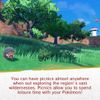 Nintendo Switch: Pokemon Scarlet Video Game (European Version)