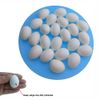ANCLLO 20Pcs 10g Solid Plastic Eggs Dummy Eggs for Racing Pigeons