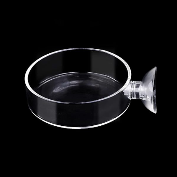 60Mm Aquarium Shrimp Feeder Dish with Suction Glass Fish Tank Feeding Bowls roun