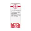 Rhododendron LM VI DHU Dilution, 10 ml Lösung