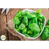 BASIL SUPER SWEET ASHALIM ORGANIC 5000 SEEDS