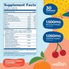 Wellah Splish Splash Hydration Electrolyte Mix (Tropical Punch, 30 Servings)