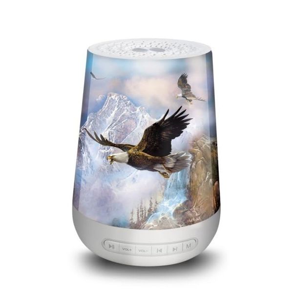 The Bradford Exchange 'Endless Skies' Eagle Sleep Sound Machine with Nightlight