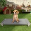 Acrimet Cooling Elevated Pet Bed Cot, Washable and Breathable Grey Mesh 40”x 24