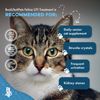 Cat UTI Remedy & Kidney Support for Cats