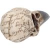Nemesis Now Edgar's Raven Skull Figurine 25cm Ivory