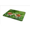 Cute Snail Pair Mouse Mat Pad - Love Valentine Nature PC Computer #8256