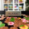 Bonsai Wooden Tiles