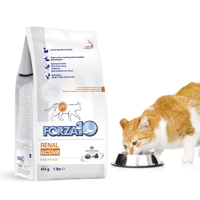 FORZA10 Cat Food: Forzadieci Linar Active (Kidney) Seafood 16.9 oz (454 g)