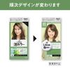 Kao Liese Bubble Hair Colour - Midnight Ash (Bottle, Mousse, Black, Easy to Use, All Hair, Black)