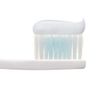 Dent Health Medicated Toothpaste, Prevents Pyorrhea, Bad Breath Blocking, Toothpaste, 3.0 oz (85 g)