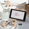 GeekShare Cute Plush Protective Case Cover Compatible with Switch - Shock-Absorption and Anti-Scratch - Plush Bear (for Switch 2017)