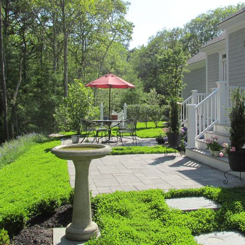 Outsidepride 1/4 lb. Perennial White Miniclover Dwarf, Small Leaved, Lawn Clover & Ground Cover Seeds