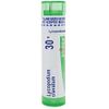 Boiron Lycopodium Clavatum 30X Md 80 Pellets for Bloated Abdomen Improved by Passing Gas