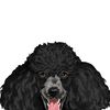 MUGBREW Black Standard Poodle Ceramic Coffee Mug Tea Cup, 11 OZ