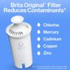 Standard Water Filter