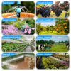 Sprinkler Timer Outdoor Water Timer for Garden Hose 1 Outlet Large LCD Screen Programmable Irrigation Timer for Yard Lawn Manual/Automatic Watering Timer