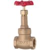 KITZ Gate Valve 5K M25